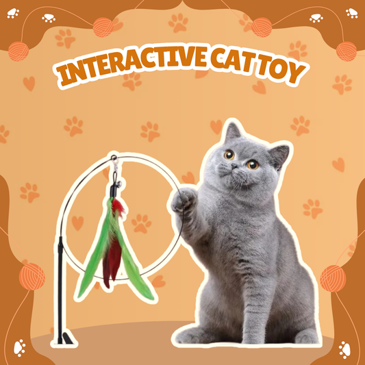 Interactive Cat Toy