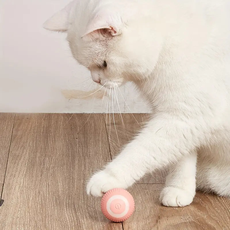 Smart Rolling Ball Cat Toy