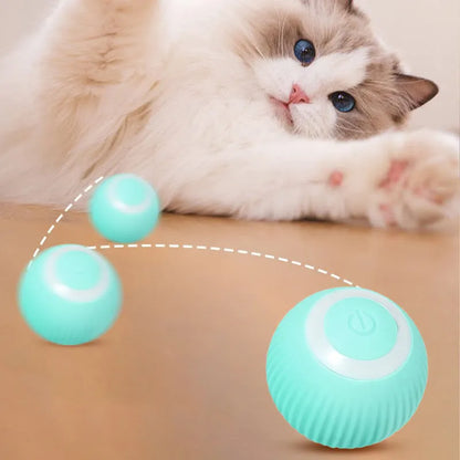 Smart Rolling Ball Cat Toy