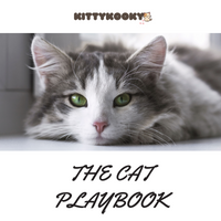 The Cat Playtime Playbook