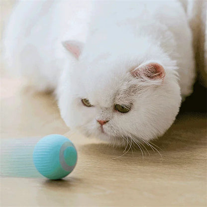 Smart Rolling Ball Cat Toy