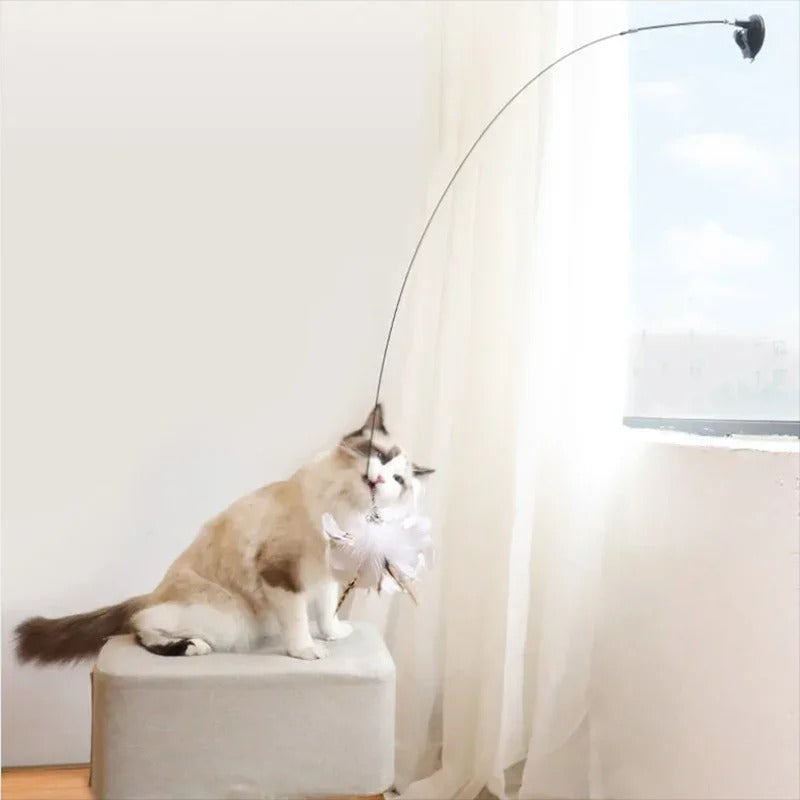 Interactive Cat Toy